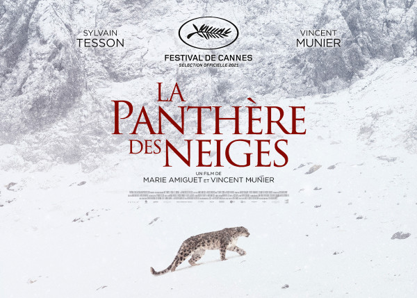 Dimanche 13 février à 17h // CinémAnimA // La Panthère des neiges