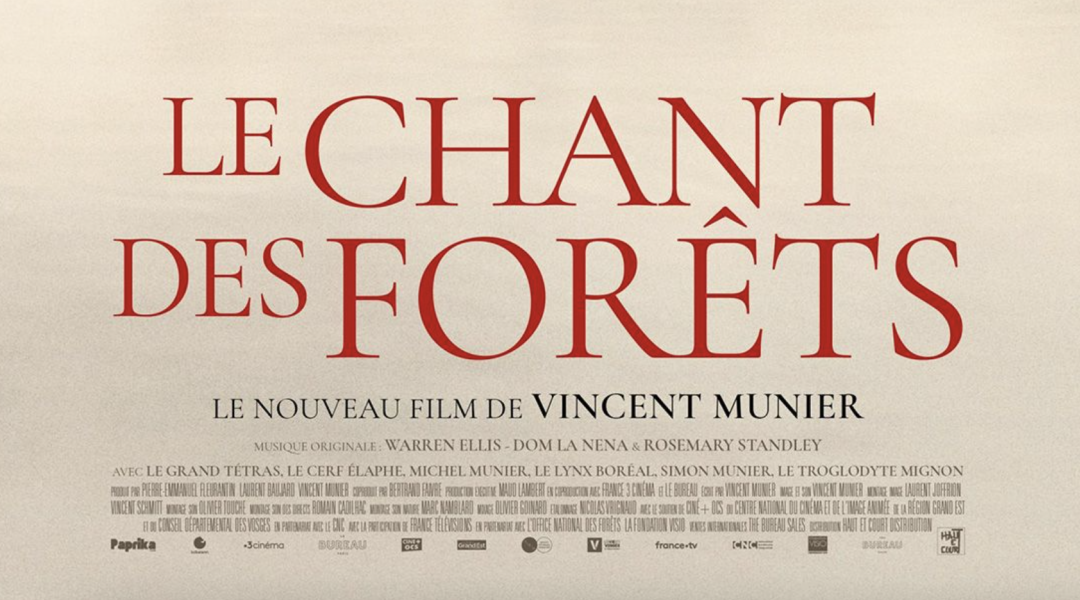 Dimanche 15 février à 17h // CinémAnima // Le film « Le chant des forêts » de Vincent Munier
