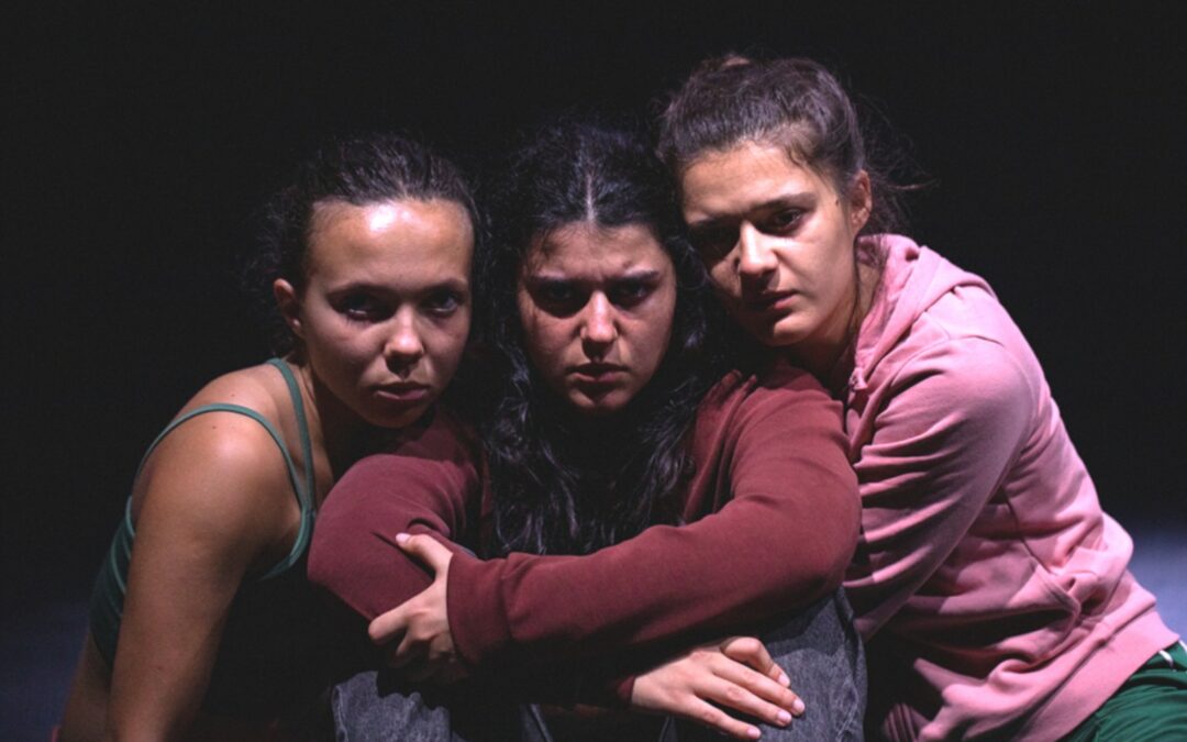 Samedi 28 mars à 20h30 // Teatru // La peau des autres (Cie Acrobatica Machina)