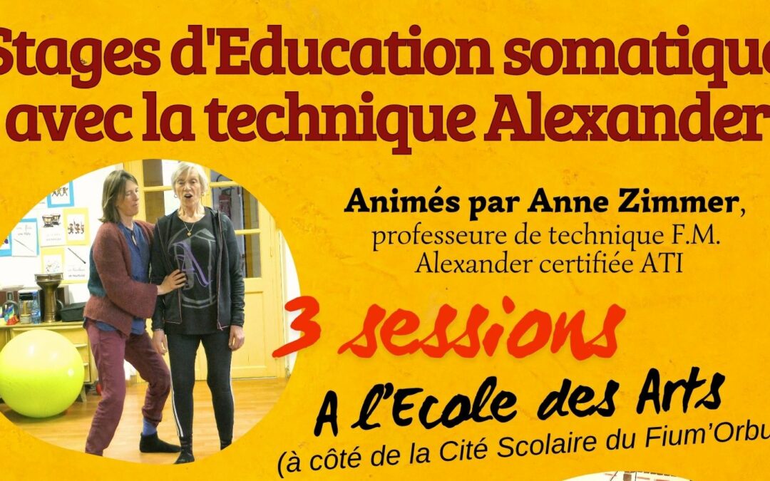 Dimanche 4 et 11 octobre // Stages d’éducation somatique avec la technique Alexander, animé par Anne Zimmer